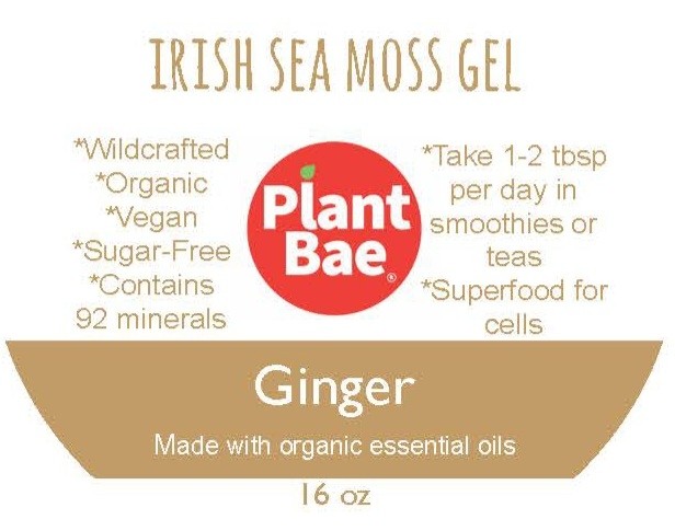 Ginger Irish Sea Moss Gel- 16 oz