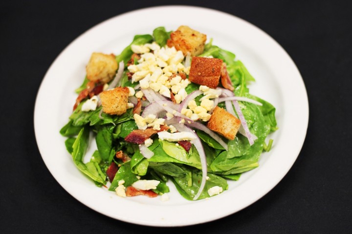 Teddys Spinach LRG *