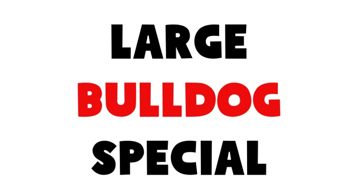 Large Bulldog Special