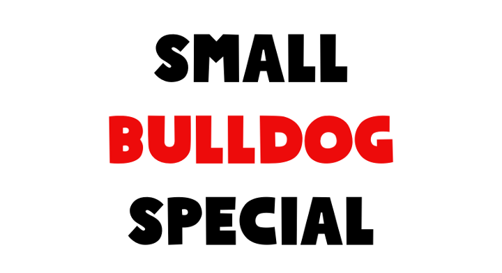 Small Bulldog Special