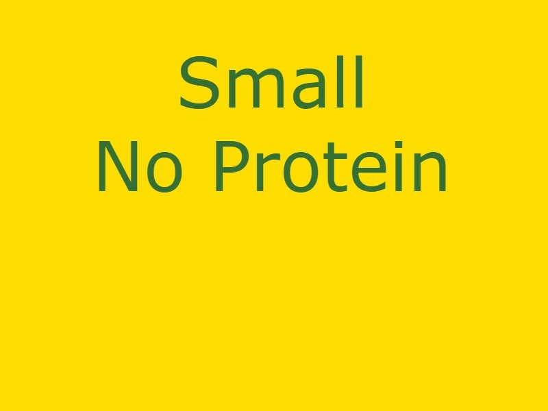 Small No Protein Salad