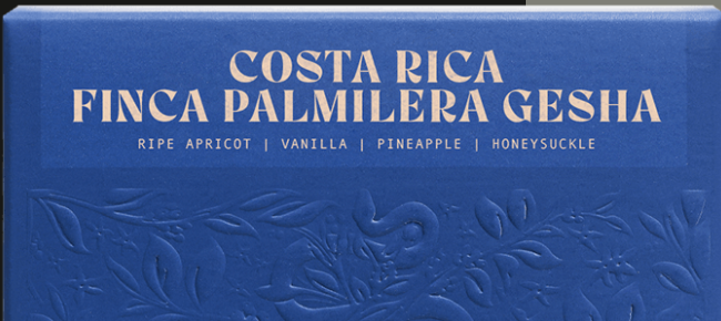 Costa Rica Finca Gesha (12 oz Pour Over)