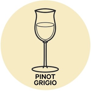 Pinot Grigio bottle