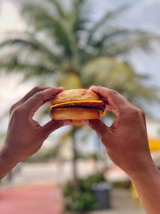 Cheese BEEF BURGER  (single)