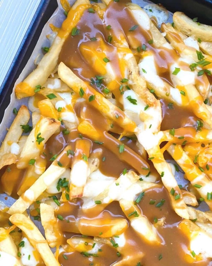 Gravy and Cheese Fries