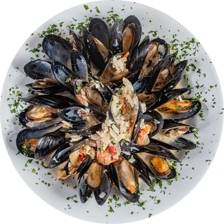 Mussels