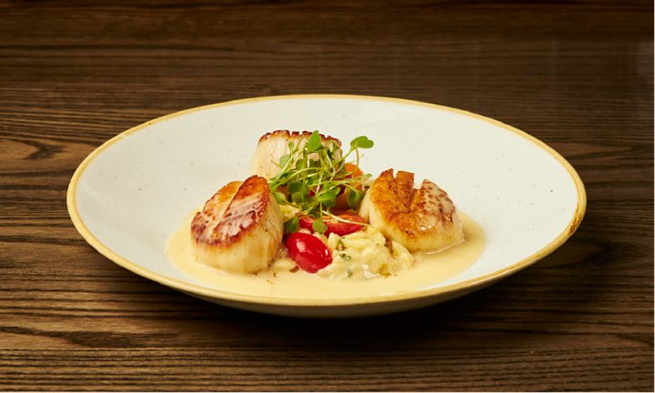 Scallops