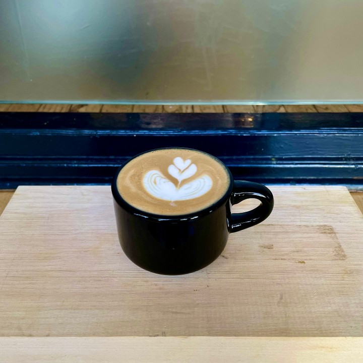 Roust 148 Mount Auburn Street 11. Darwin's Mt Auburn