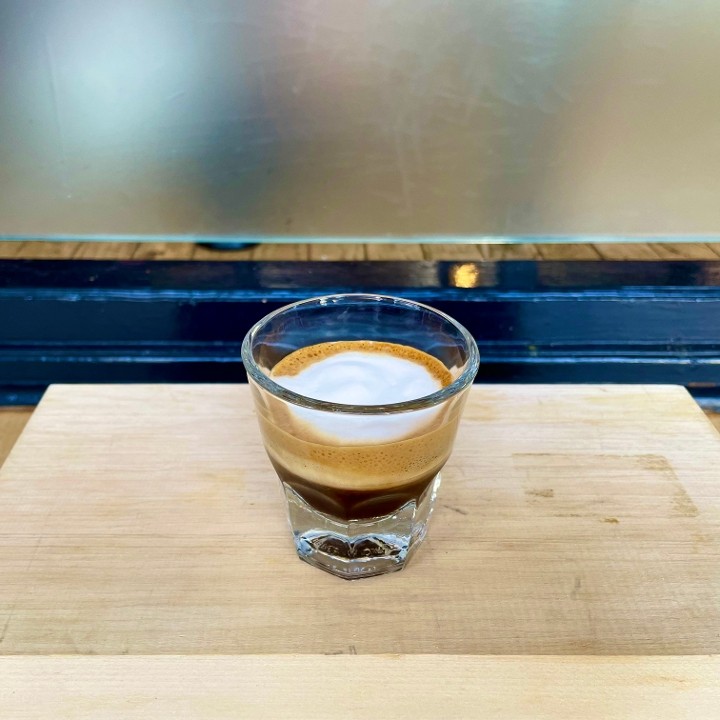 Roust 148 Mount Auburn Street 11. Darwin's Mt Auburn