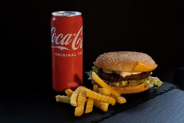 Cheese Burger + French Fries + Soda Can