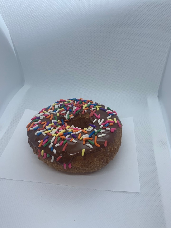 Cake Donut Topped w/ Chocolate Icing and Sprinkles
