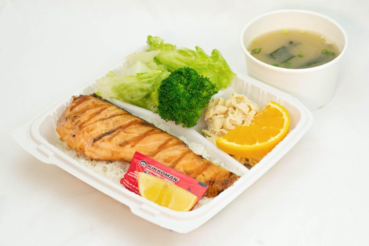 C Salmon BENTO