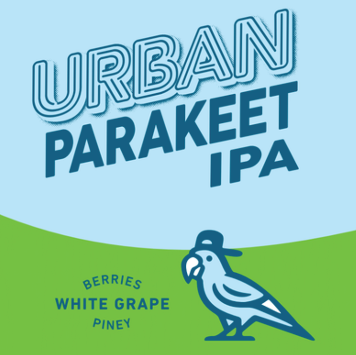 Urban Parakeet