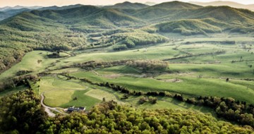 Pippin Hill Farm & Vineyards