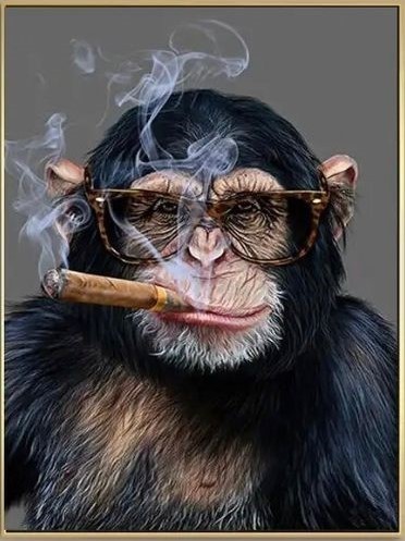 Smoking Monkey 24"x36" - Gold Frame