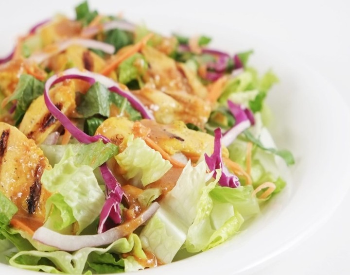 16. THAI CHICKEN SATAY SALAD