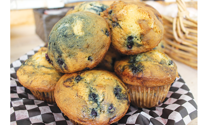 4 Pack Blueberry muffins