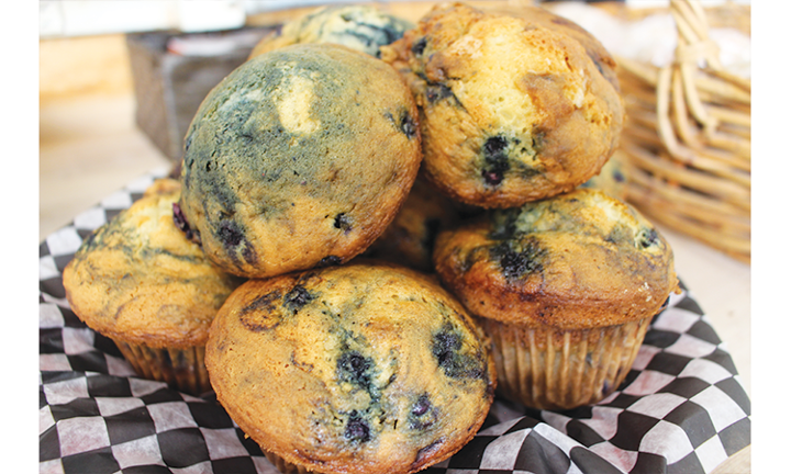 Blueberry Muffin