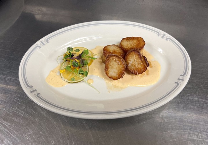 Sea Scallops App