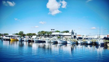 Brew River - Salisbury