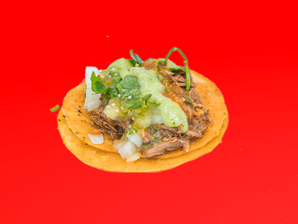 Birria Taco