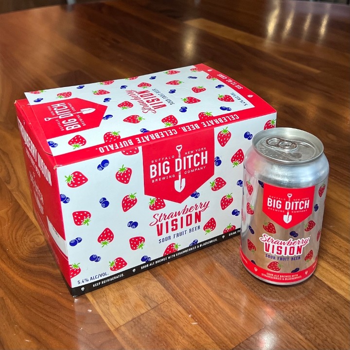 Strawberry Vision Sour Fruit Beer 6- pack