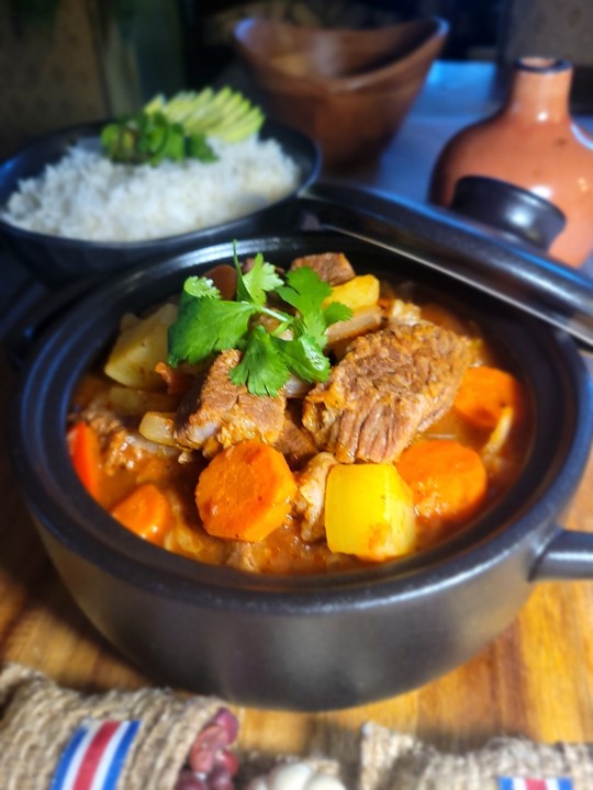 Costa Rican beef Stew Small Box