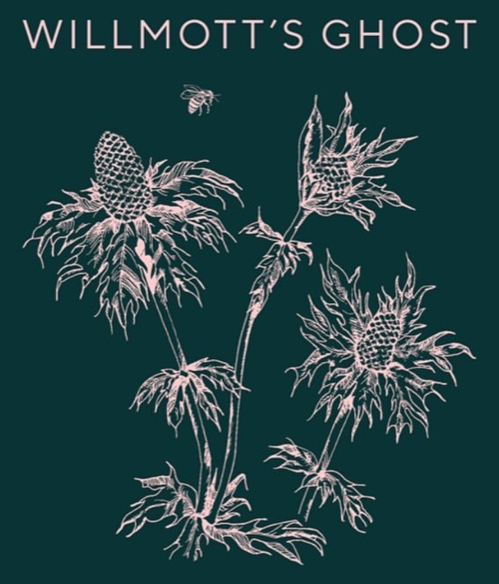 Willmott's Ghost