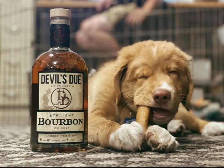 Devils Due Straight Bourbon Whiskey