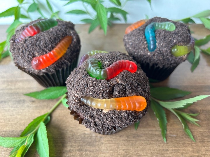 Earth Day Dirt Cupcake