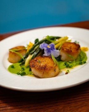 The Daily Dish Neighborhood Bistro & Bar 8301 Grubb Rd.