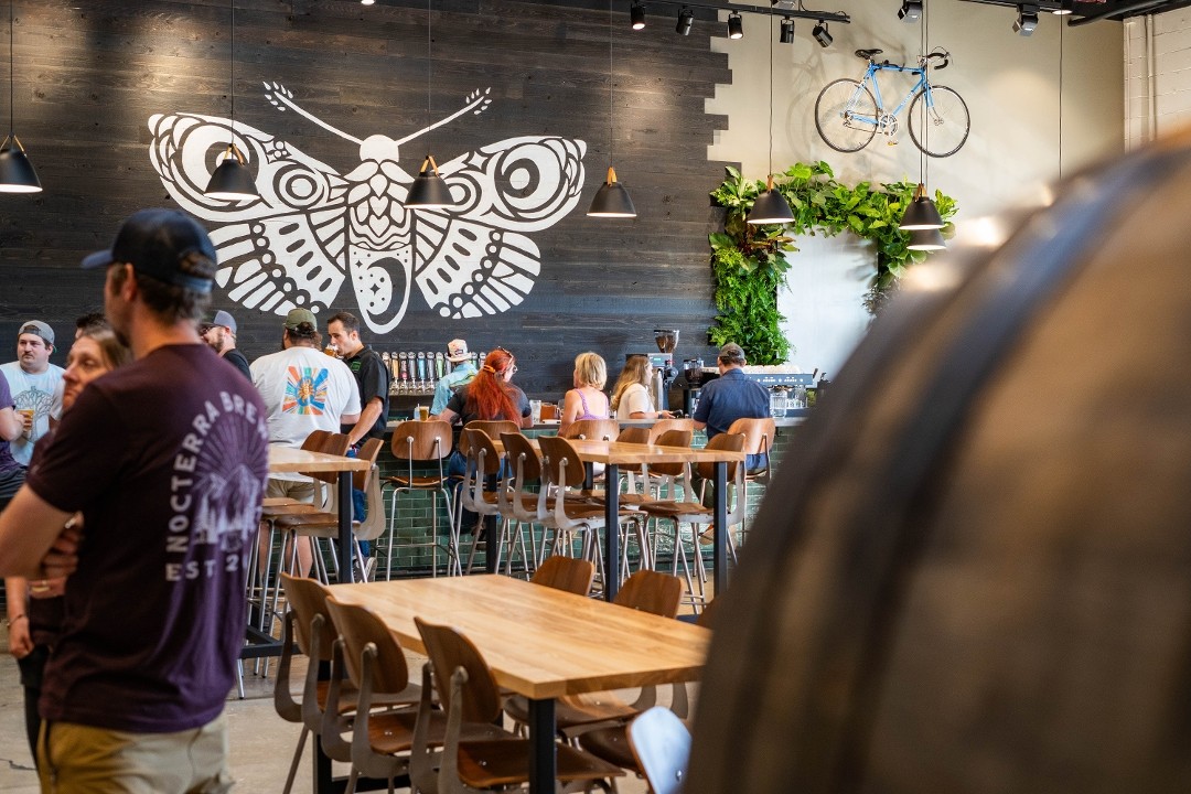 Nocterra Brewing Co.- Audubon 516 Maier Place, Columbus