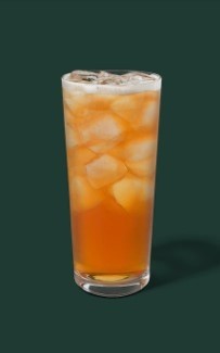 Shaken Iced Tea