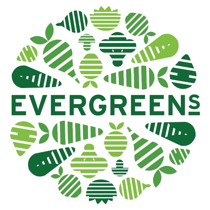 Evergreens WA-011 Bellevue NE 4th