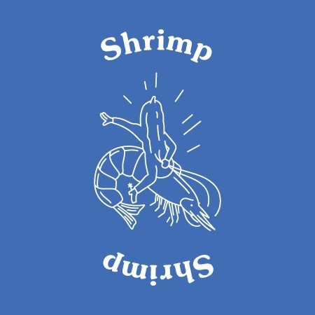 50 Shrimp Dumplings