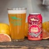 Dogfish Head Citrus Squall 19.2 oz can*