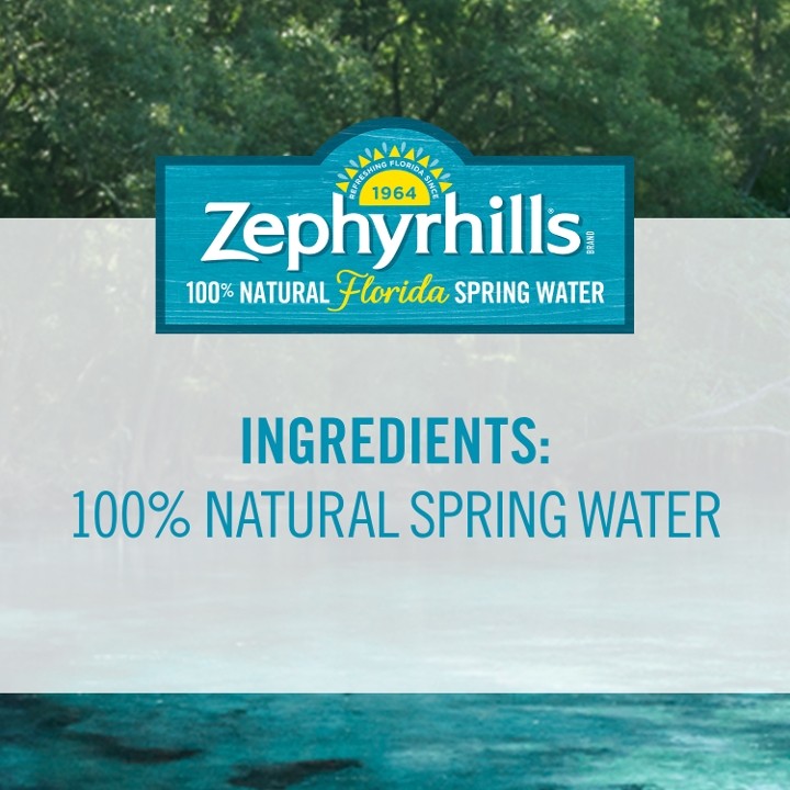 Purified Spring Water (16.9oz)