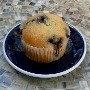 Blueberry Muffin