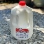 Whole Milk (Gallon)