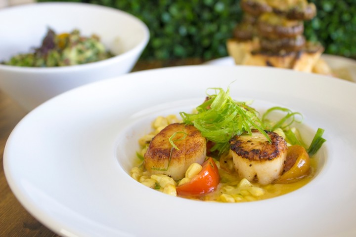 Scallops