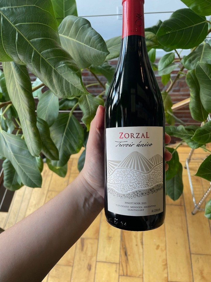 Zorzal Pinot Noir Terroir Unico Tupungato 2023
