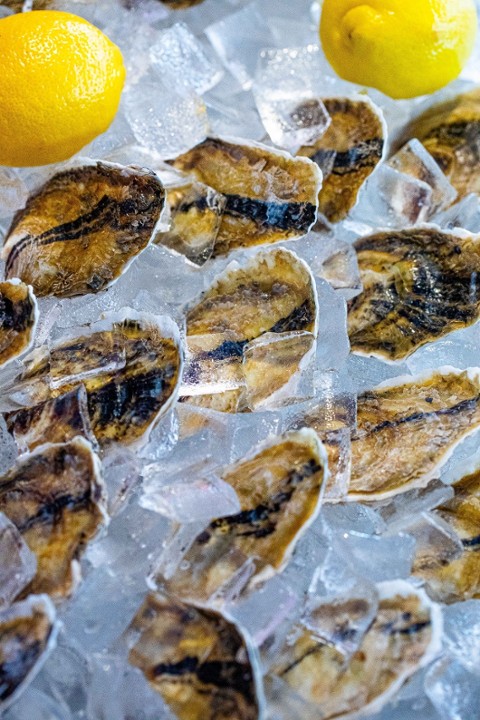 UNSHUCKED OYSTERS TG