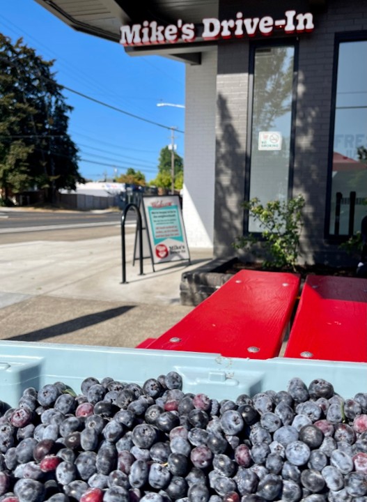 21oz BLUEBERRY SHAKE