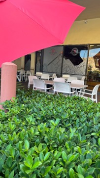 Avila BIstro