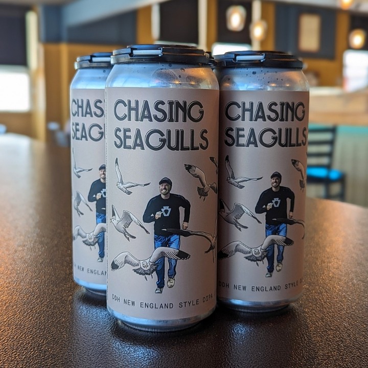 Chasing Seagulls 4/16oz