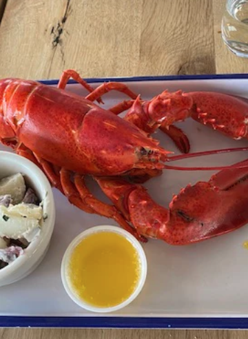 1.5# Steamed Lobster Platter