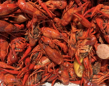 Poche's Seafood Shoppe & Restaurant