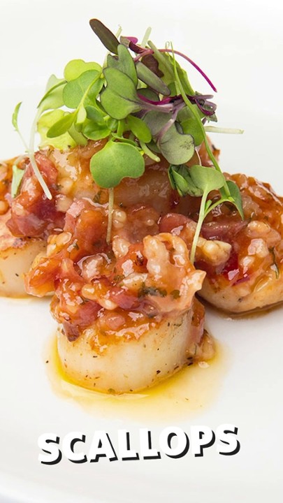 Sea Scallops APP