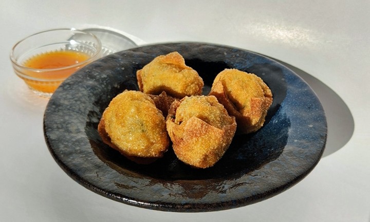 Fried Chicken Dumplings