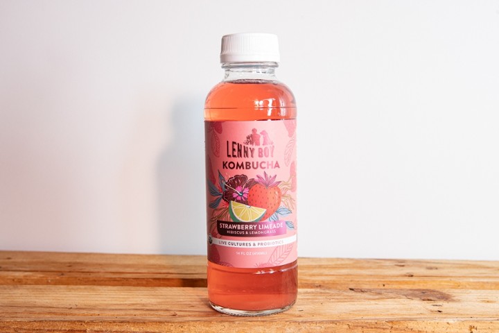 Lenny Boy Organic Kombucha